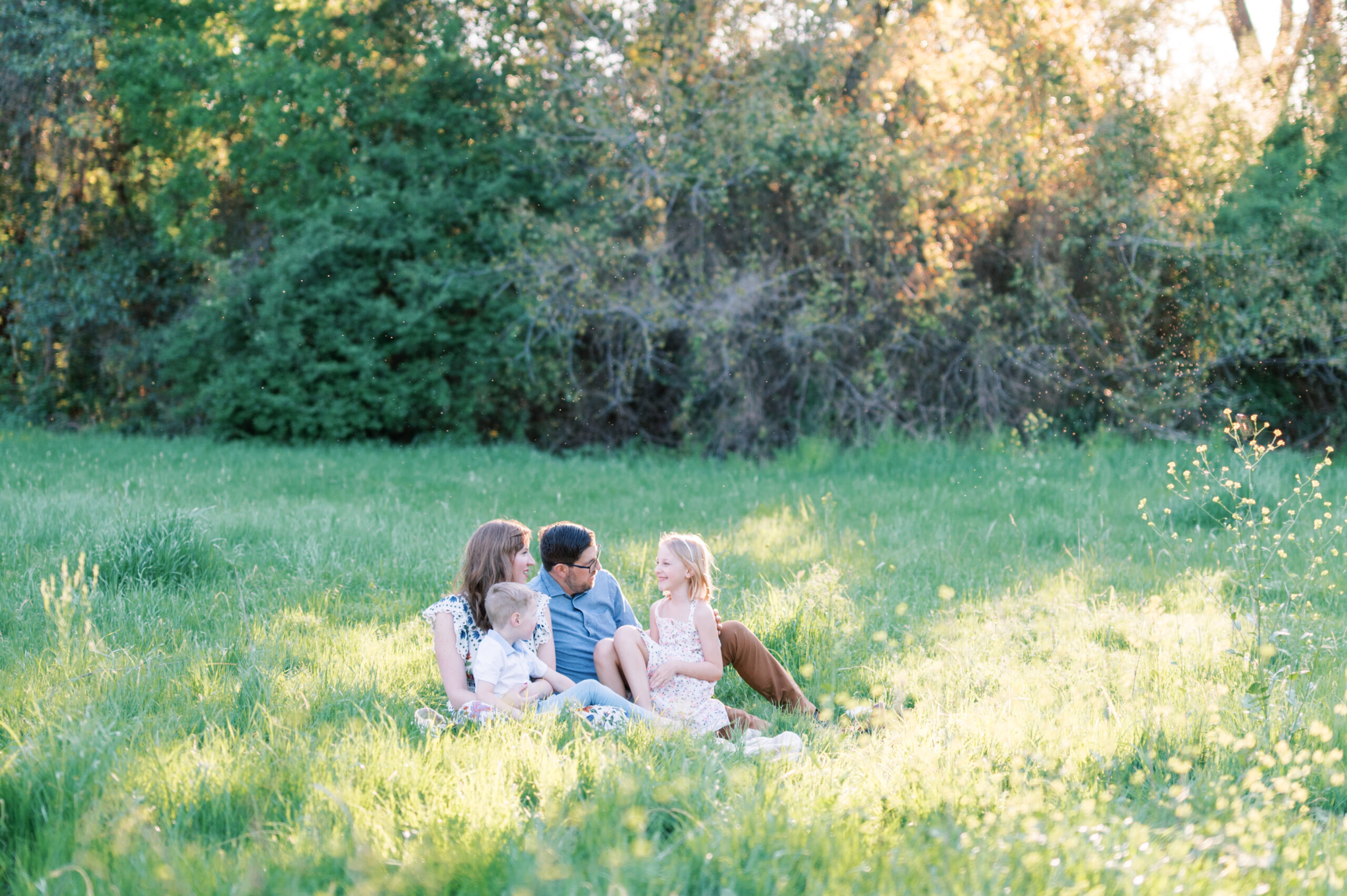 spring family portrait in a wildflower field in fort worth