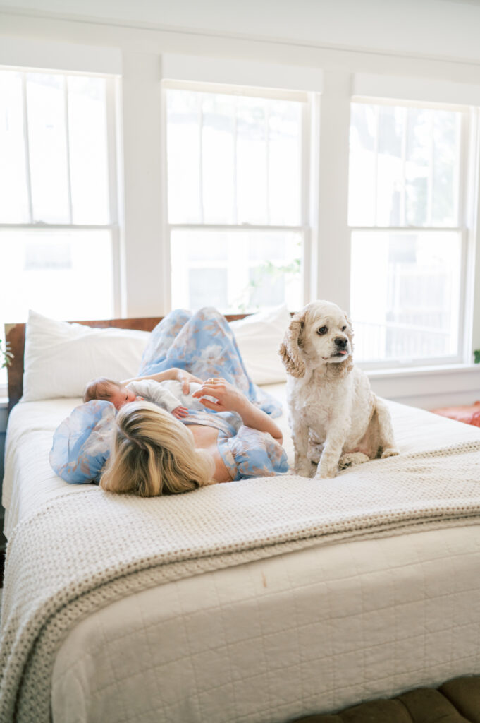 mom and newborn baby lay on bed with dog
