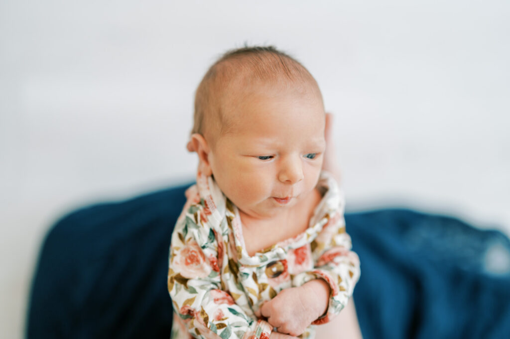 studio newborn portrait of baby girl