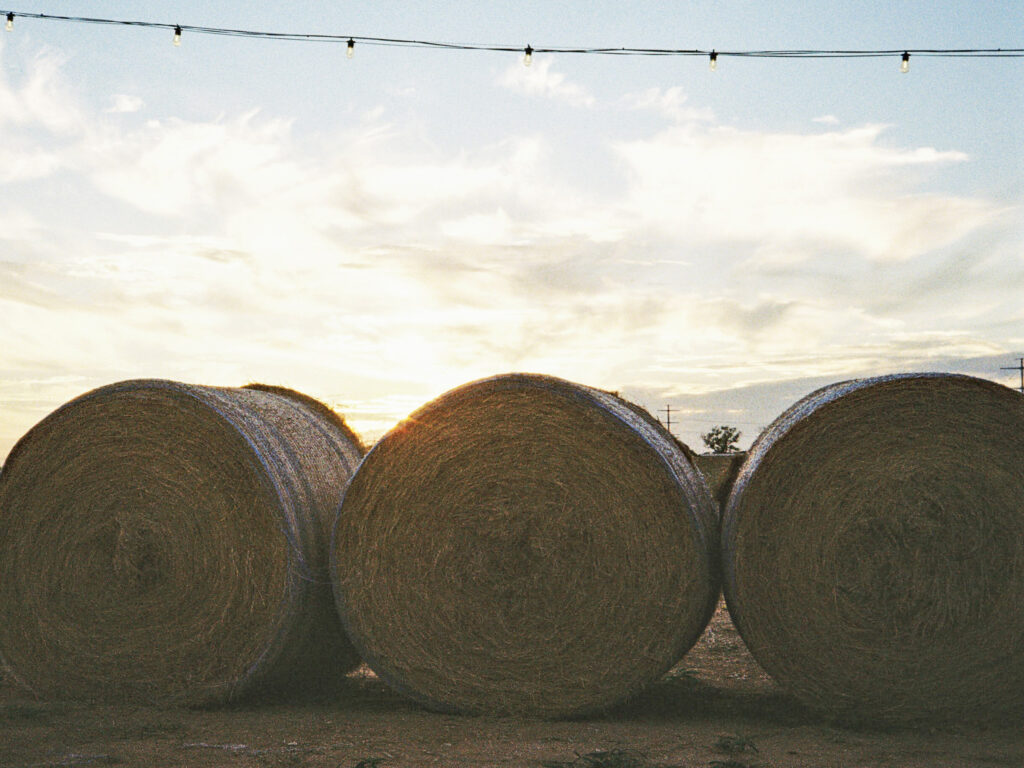 fall family activities in fort worth