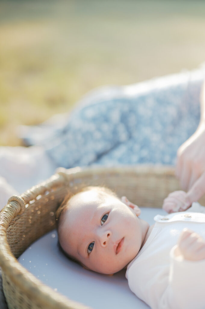 outdoor newborn photos in fort worth 