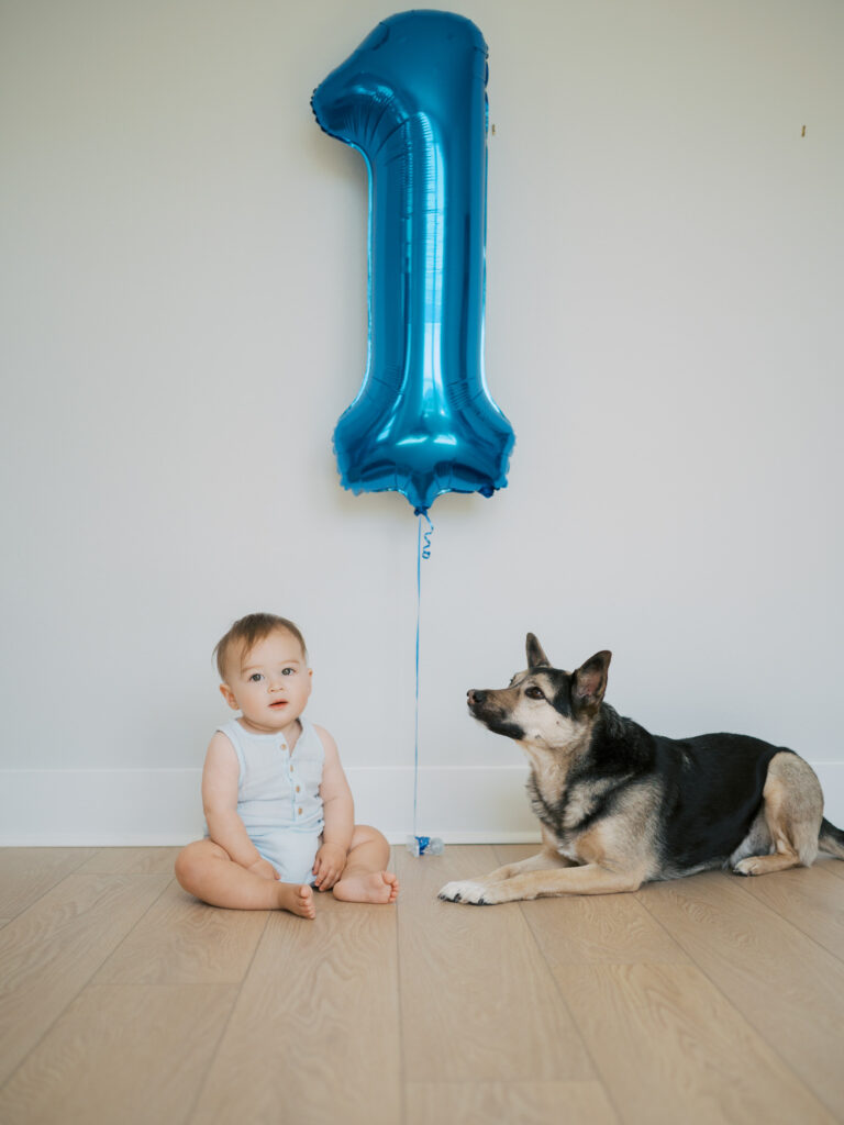argyle family photographer, one year photos at home