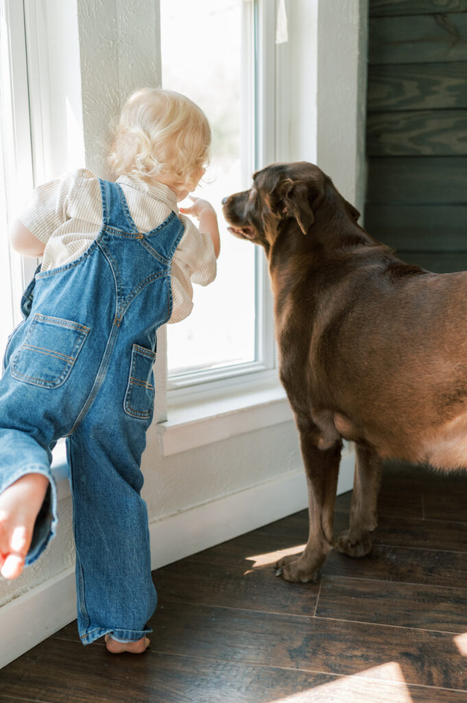 toddler and dog look out family window
