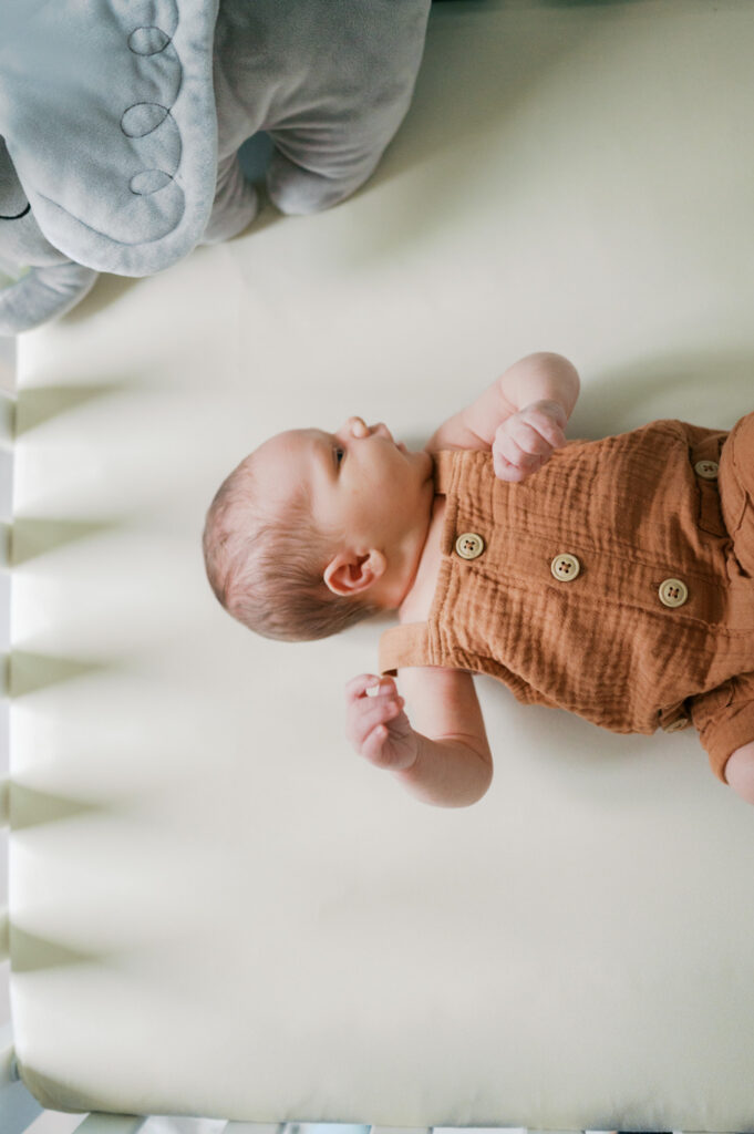 newborn photography fort worth
