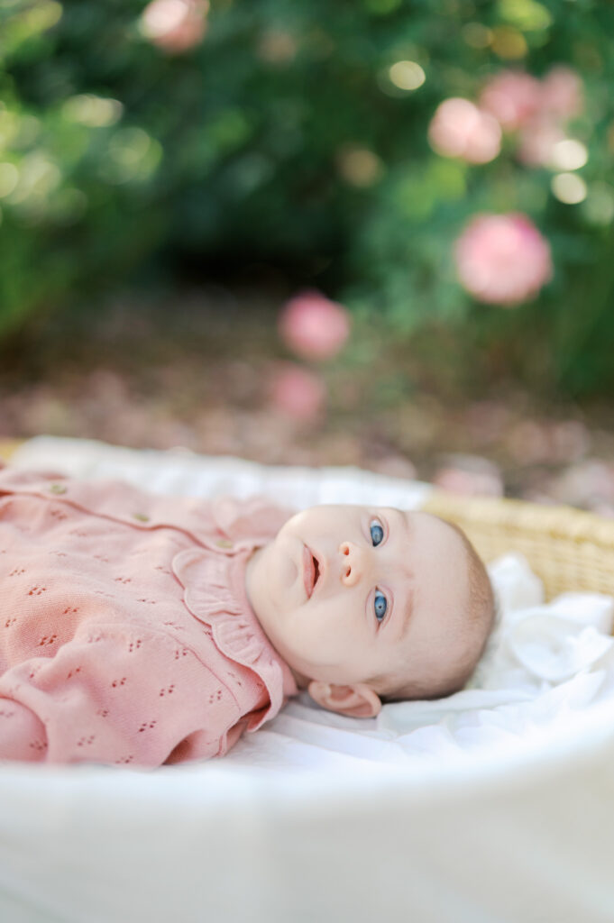 newborn session in fort worth