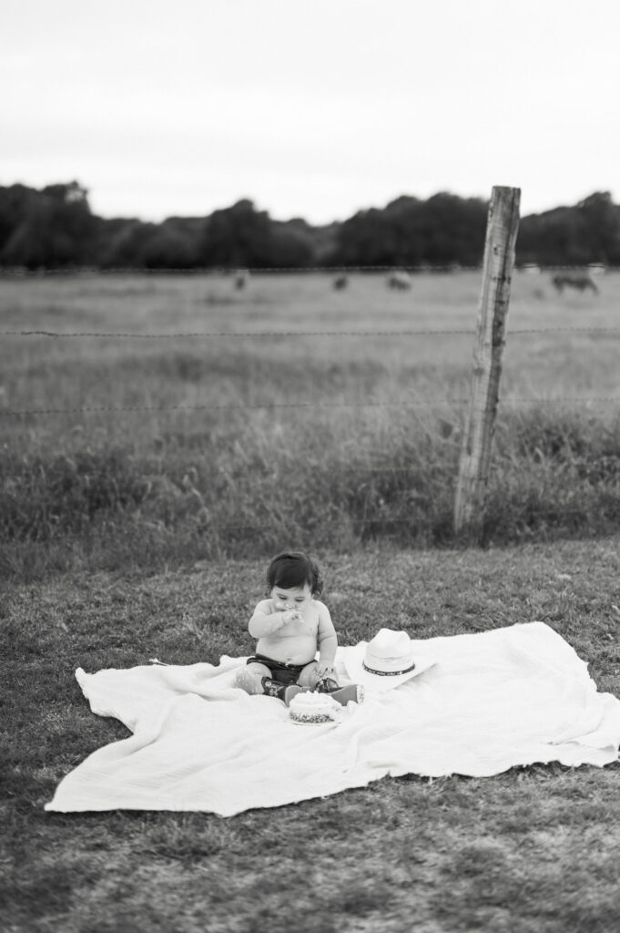 cake smash photos in fort worth, one year old session