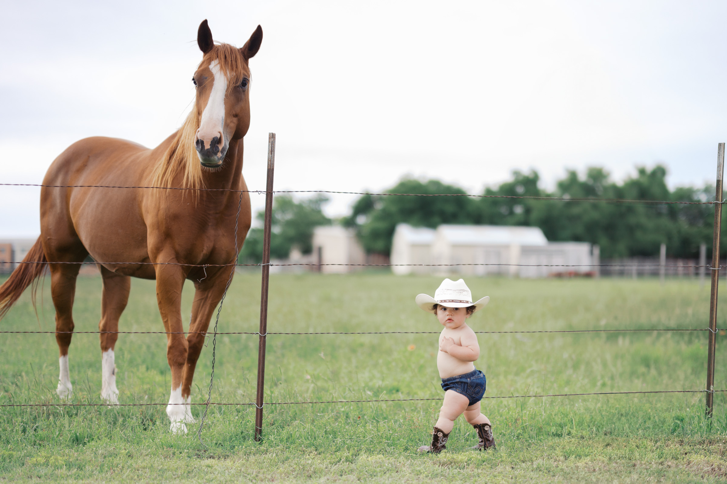 Fort worth family photographer