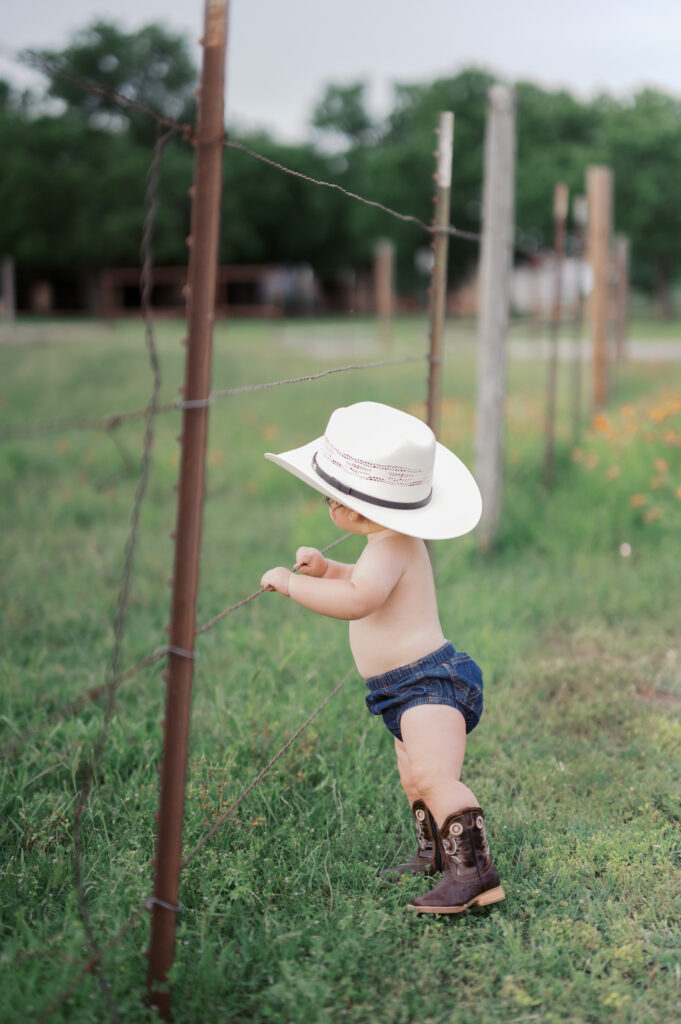 one year old looks at horses through the fence, benbrook photographer